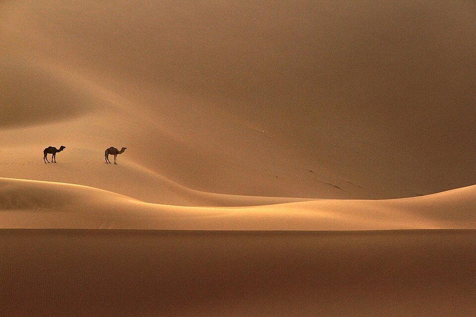 Dunes de l’Erg Chegaga