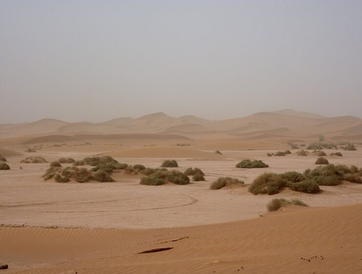 Trek 7 jours — Immersion nomade dans le Sahara