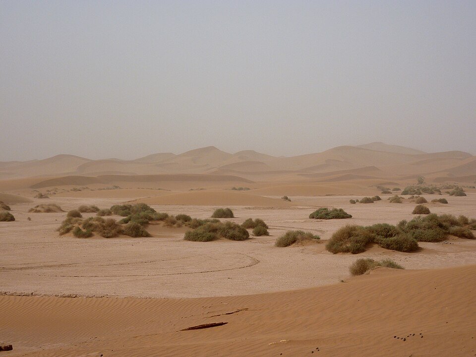 Grandes dunes de Chegaga
